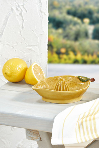 Handpainted Lemon Juicer