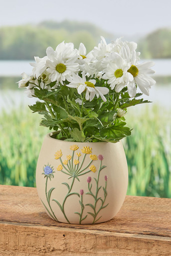Shop Primary Image